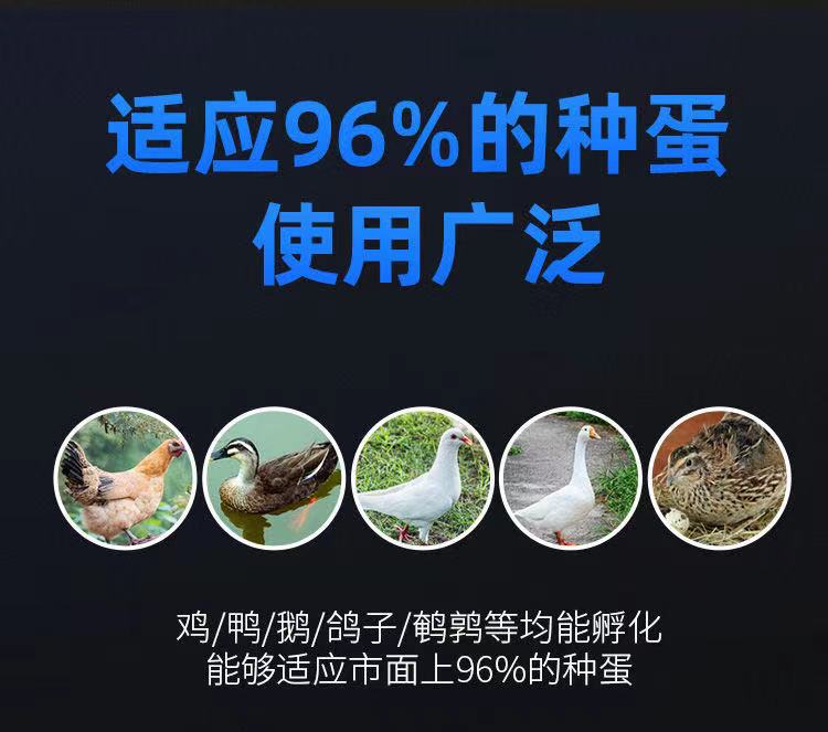 강아지밥