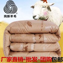Thickened camel hair quilt camel cashmere quilt autumn and winter camel hair quilt quilt quilt
