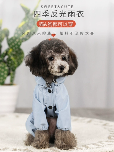 Тедди щенка Пейнс -плащ с четырьмя перевернутыми водонепроницаемы