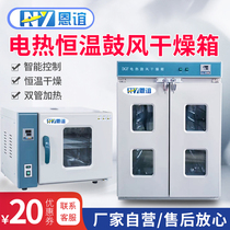 Enyi electric constant temperature blast drying oven Chinese medicine drying box industrial oven headlight oven aging box Laboratory