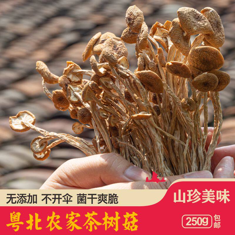 Tea tree mushroom dry goods: Shaoguan specialty North Guangdong mountain farmhouse homemade sulfur-free gift premium pot soup stir-fried vegetables 250g