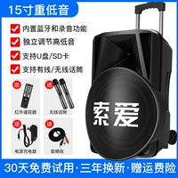 Дорожный беспроводной микрофон, 15 дюймов, 2 шт