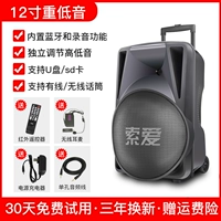 12 -INCH BASS Outdoor Audio+Wireless Header Wheat*1 [Aravian Original Sound+Приоритет микрофона]