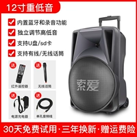 12 -INCH BASS Outdoor Audio+беспроводной микрофон*1 [Aravian Original Sound+Приоритет микрофона]