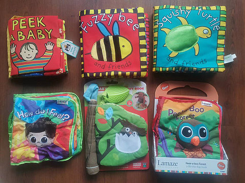 Baby's book torn to bite baby and toddler