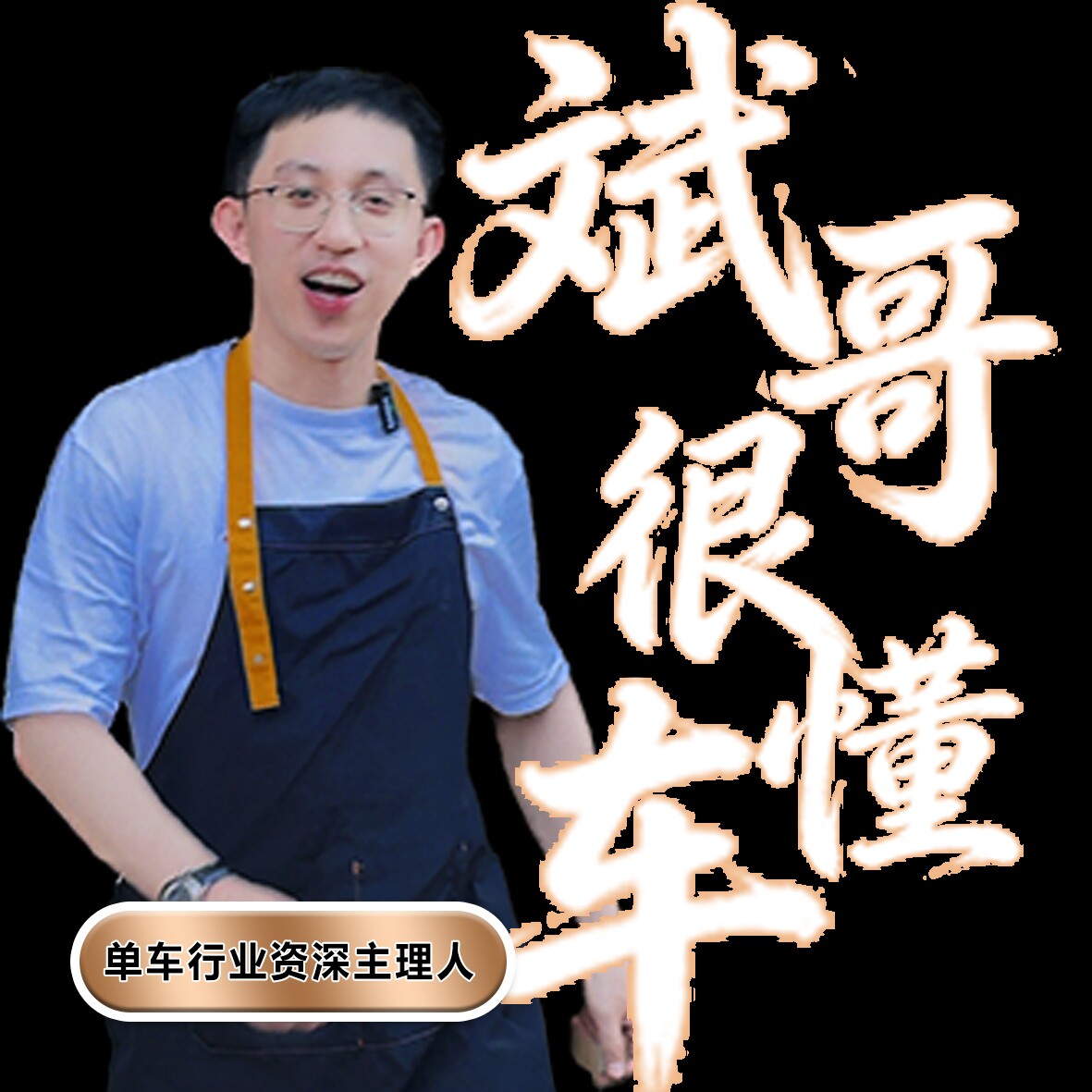 斌哥很懂车的LOGO