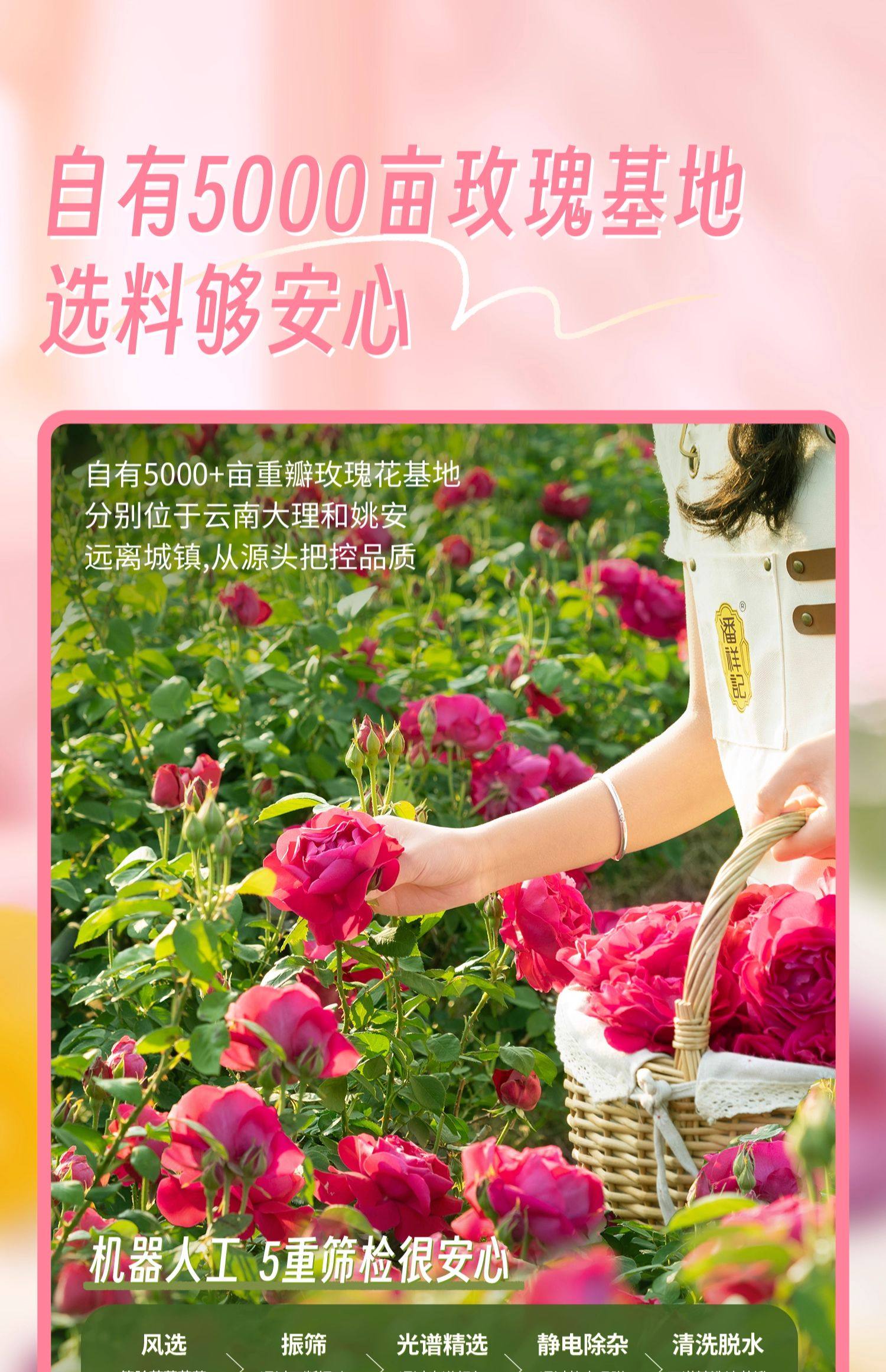 【中国直邮】 潘祥记 云南特产 鲜花饼 玫瑰原味1袋(8枚装)