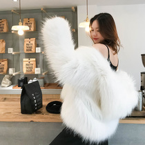 Raccoon hair braided fur coat women hooded short long-sleeved Korean slim-fit thin white fluffy coat anti-season