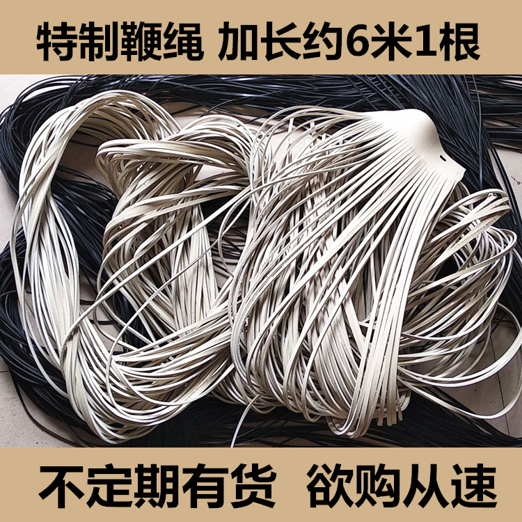 Feida gyro whip rope lengthened about 6 meters a durable metal wooden fitness gyroscope line ice monkey accessories