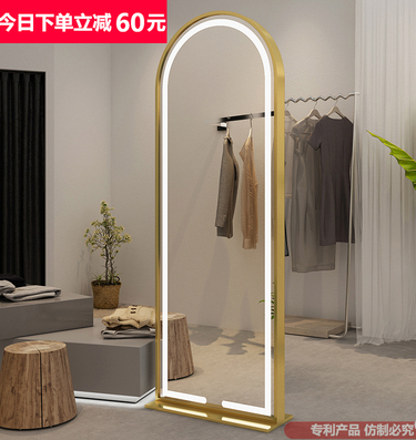 Nordic light luxury floor dressing full-body mirror ins wind girl bedroom girl wind home fitting three-dimensional light mirror