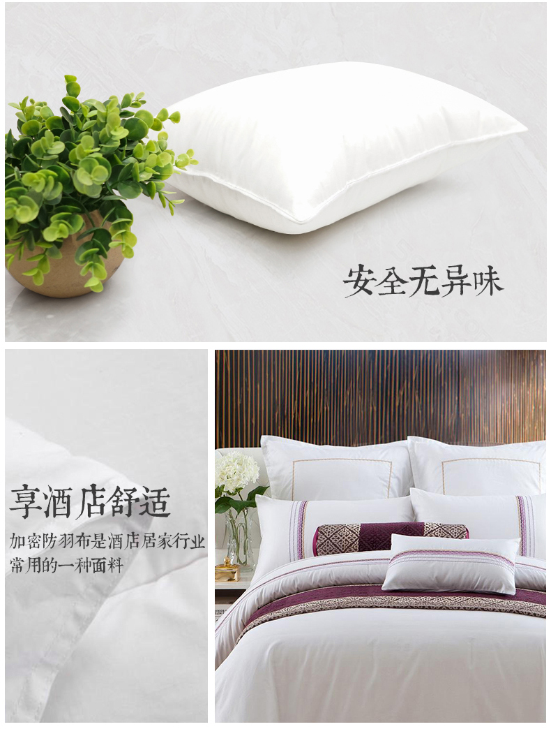 Đệm nữ hoàng sofa gối lông nhung lõi gối trắng tinh khiết nhà trở lại giường lông nhung đệm lõi Chăn gối văn phòng 2 trong 1