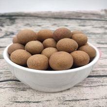 【龙眼干】超大莆田桂圆干500g*2