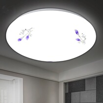  Round LED ceiling light Modern fashion simple balcony Bedroom light Living room light Aisle kitchen bathroom light