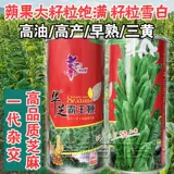 Аэрокосмический повелитель белый кунжутный институт кунжута производит высокий нефть, высокий урожай, тяжелые зерновые семена