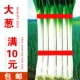 Военный зеленый зеленый лук Zhangqiu около 1000 капсул