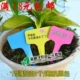 Hoa trong chậu, hạt giống, đất dinh dưỡng, dung dịch dinh dưỡng, phân bón, thuốc trừ sâu nói chung, vật tư làm vườn bình xịt cây