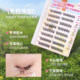 [96 Clusters Plus Large Box]Mr. Wish's Bird Chirping Beauty Mouse Glue-Free False Eyelashes Natural and Long-Lasting