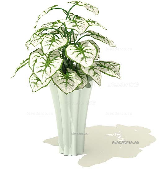 盆栽绿植 植物blender模型 blender布的-058