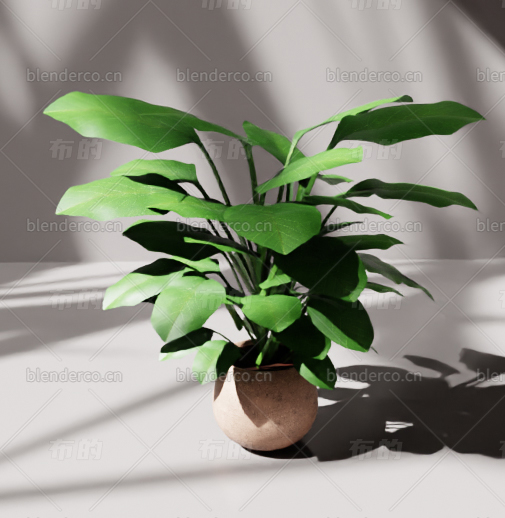 blender绿植盆栽blender布的模型91