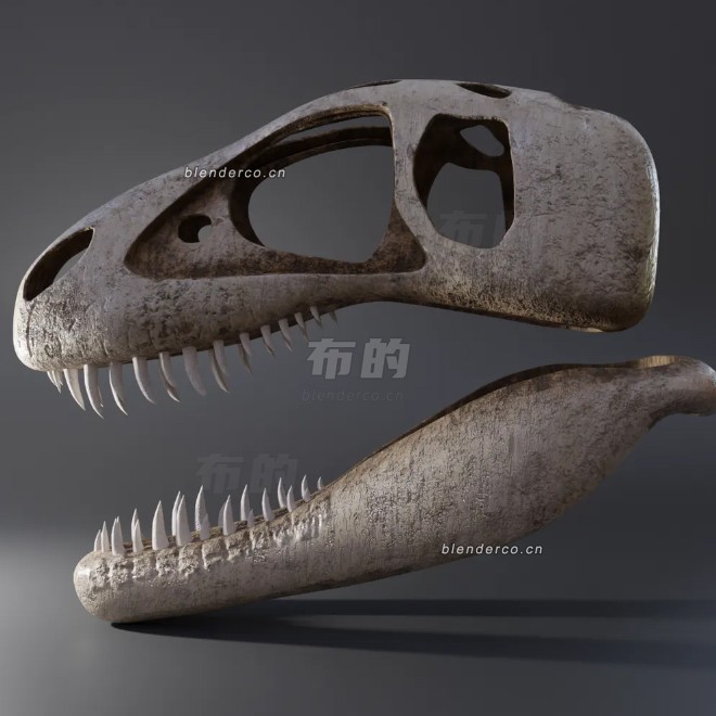 blender霸王龙头骨模型_blender布的38