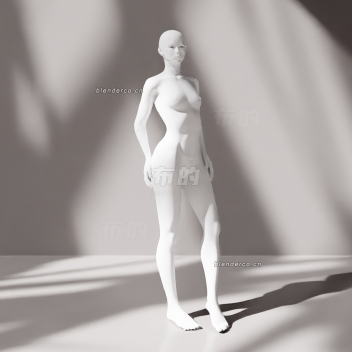 blender女士1模型_blender布的04
