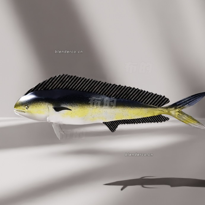 blender地中海鱼模型_blender布的15