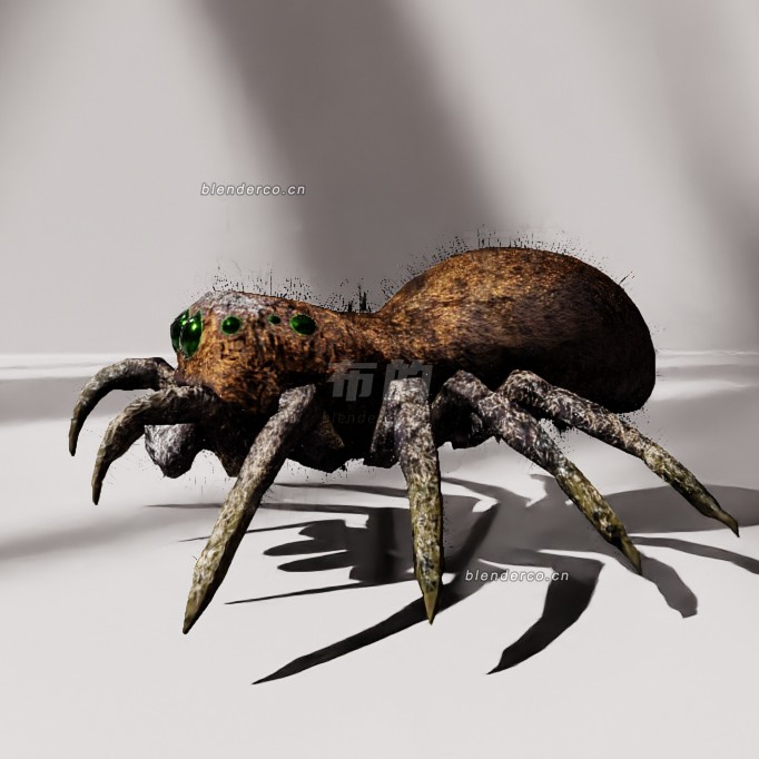 blender跳蛛模型_blender布的17