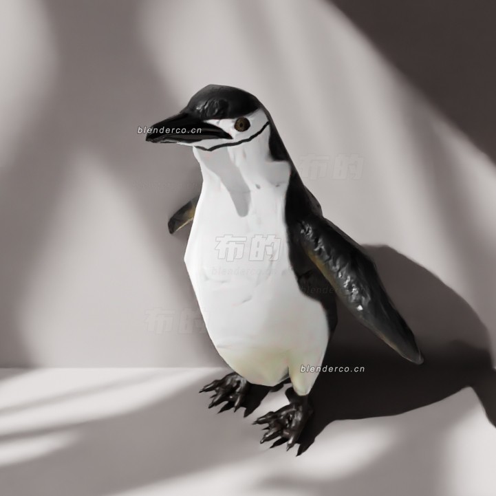 blender企鹅模型_blender布的02