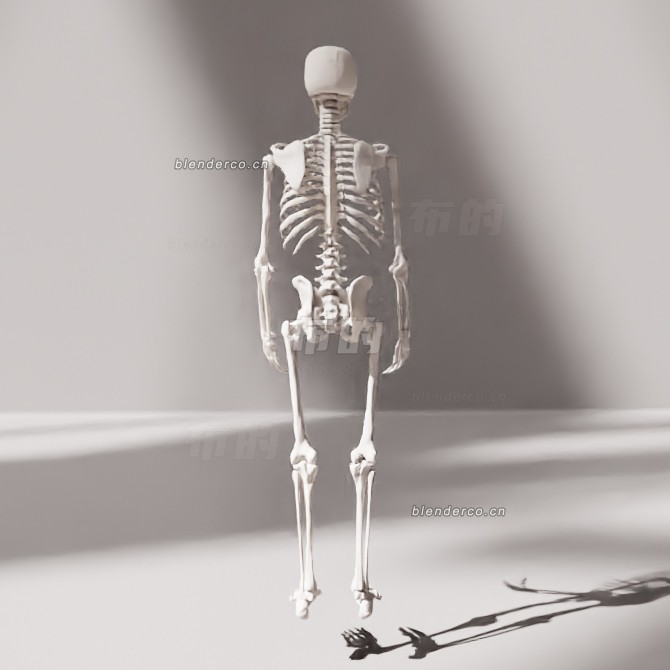 blender人头骨骼模型_blender布的21