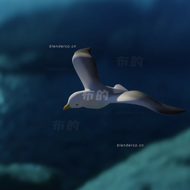 blender海鸥模型_blender布的42