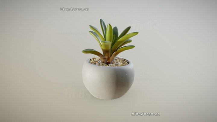 blender迷你多肉盆模型_blender布的30