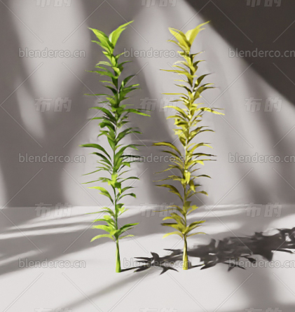 blender草blender布的模型165