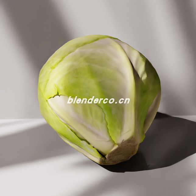 blender卷心菜模型_blender布的16