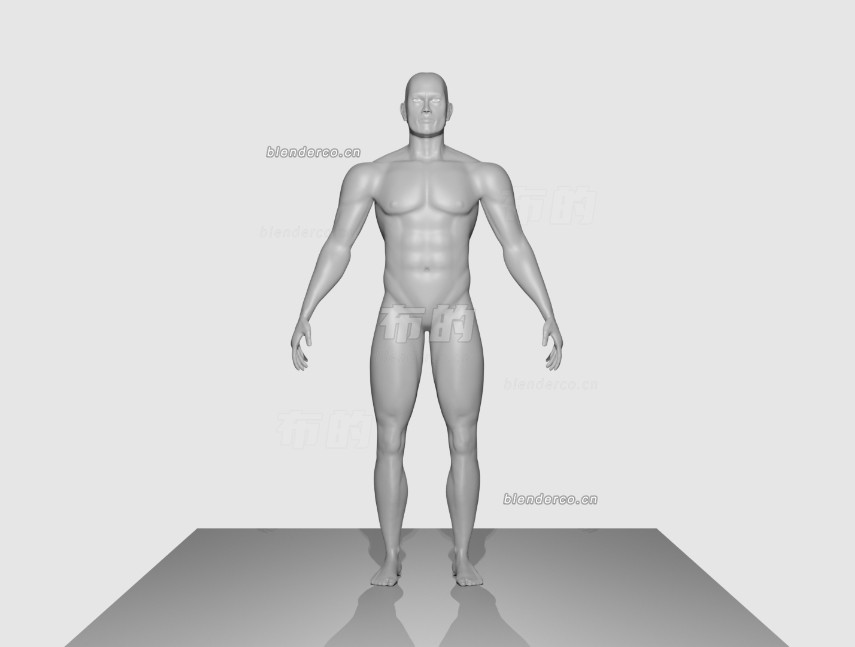 Body_Model