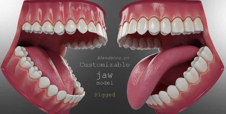 牙齿牙龈工程文件，口腔模型影像者说 自购分享