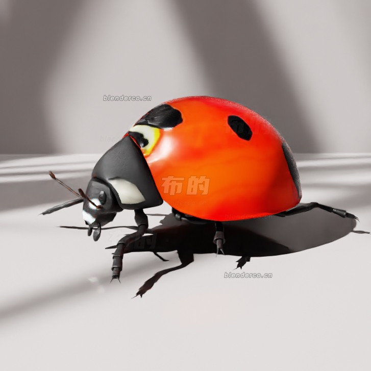 blender七星瓢虫模型_blender布的06