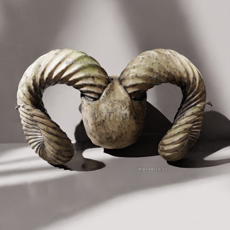 blender公羊头骨模型_blender布的45
