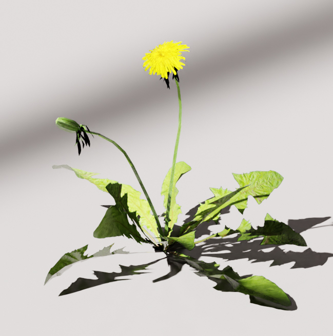 blender花草模型blender布的模型250