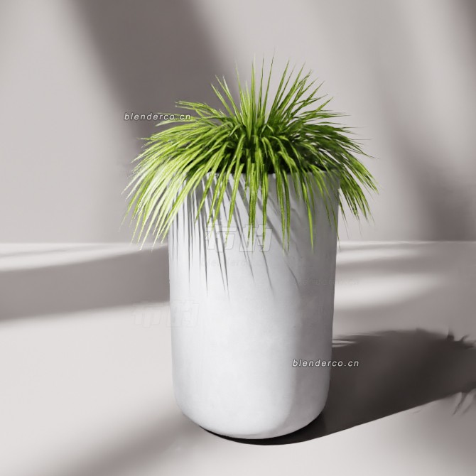 blender盆栽模型_blender布的197