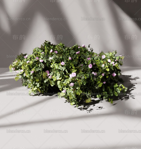 blender花草丛blender布的模型249