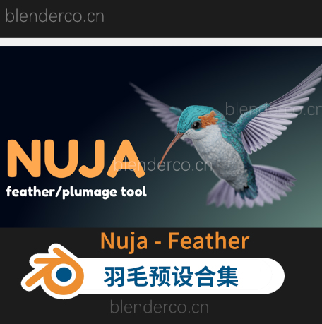 Blender羽毛模拟生成插件 Nuja – Feather And Plumage Tools + 教程 blender布的   3.4