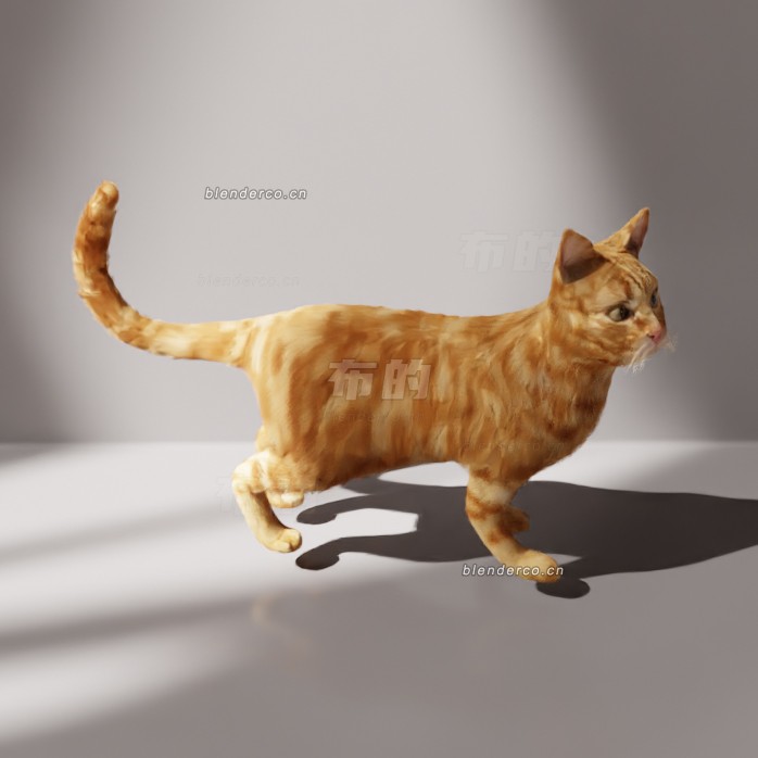 blender橘猫模型_blender布的66