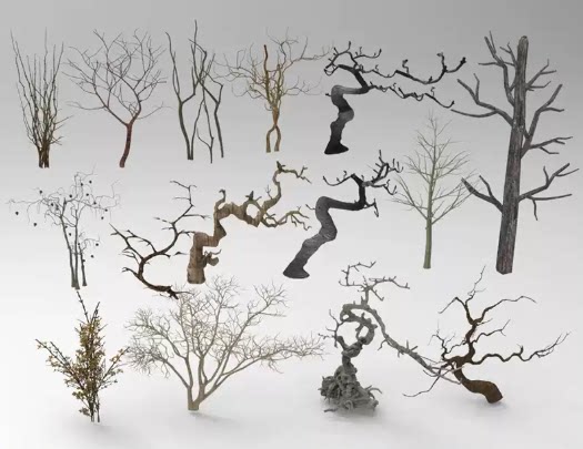 C4D FBX STL OBJ SU树枝树干枯树枯干树木艺术摆件三维3D模型素材