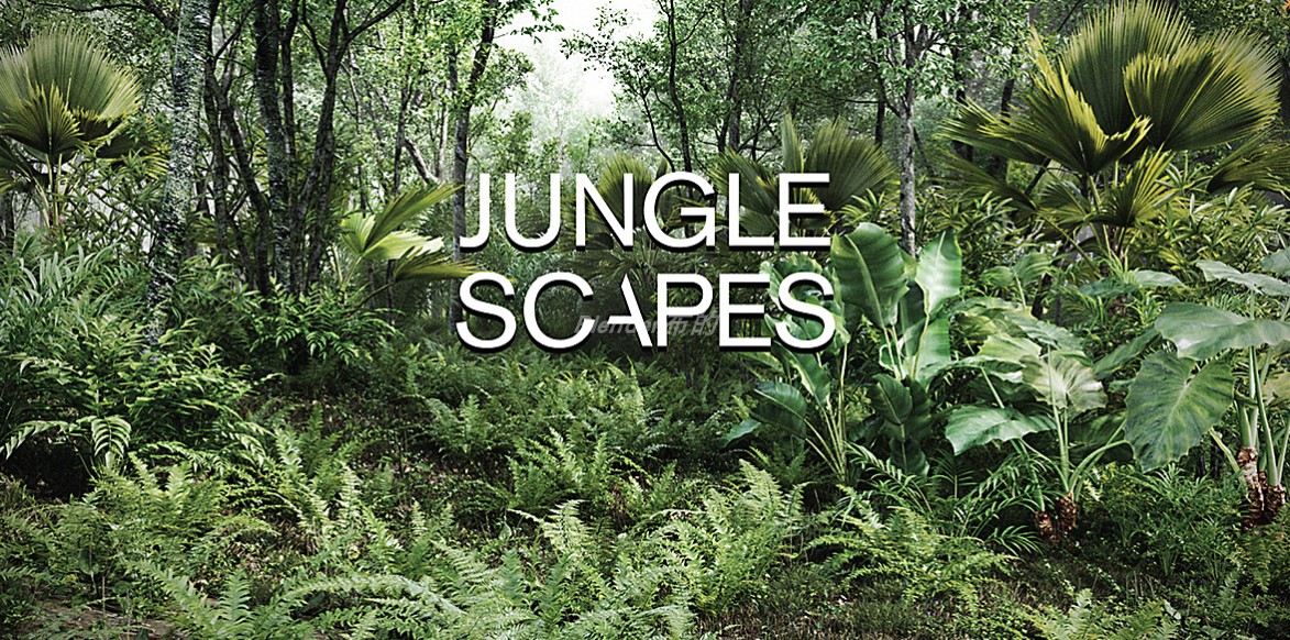 森林植物植被模型合集Jungle Scapes For Blender