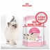 Royal Canin Royal Cat Food BK34 Bánh sữa mèo 1-4 tháng tuổi mèo cai sữa thức ăn 0,4kg * 3 gói - Cat Staples