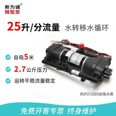 Loader dust pump new for sincerity factory direct 12v24v diaphragm electric self-priming pump BSP27250S