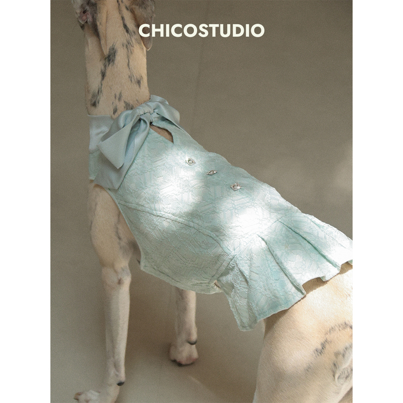 Chico｜Lace Ribbon Lace Dress Elegant Vintage Wrinkle-Resistant Small Greyhound Whippet Saluki Clothes