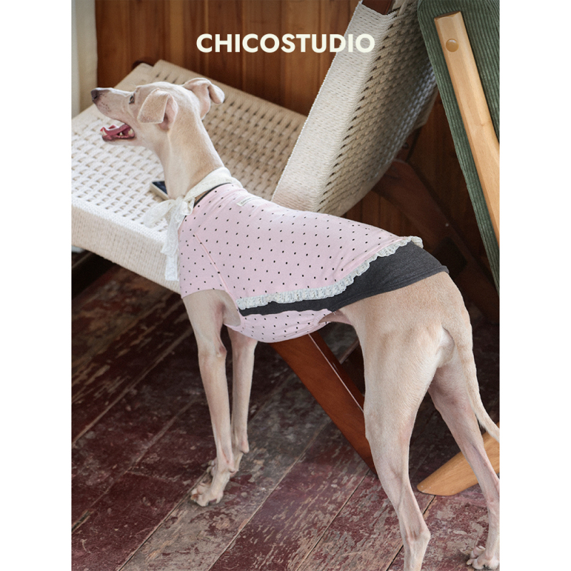 Chico｜Le Petit Polka Dot Shell Sleeve Soft Cotton Vest Little Greyhound Whippet Maltese