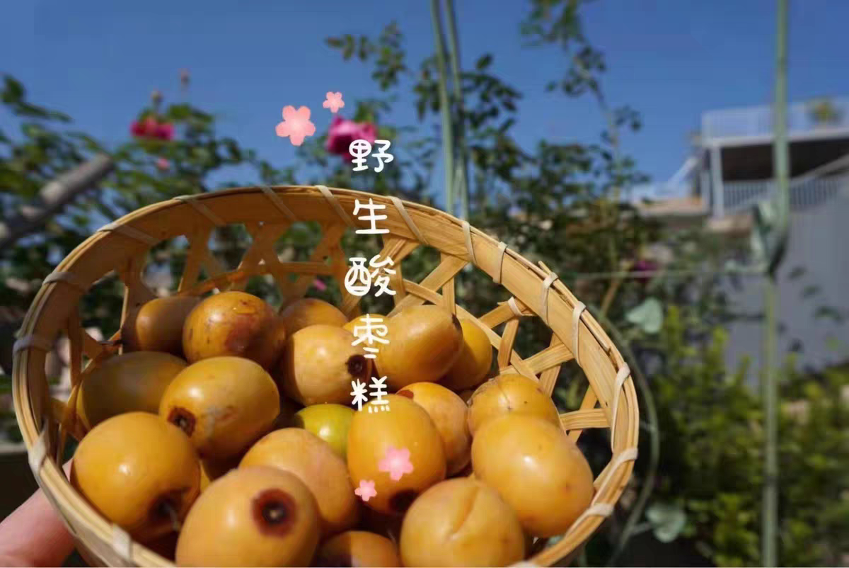 赣南蔚珍土特产店野生水果