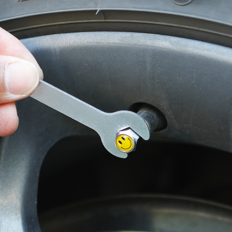 Pure Copper Personality Valve Core Car Tire Valve Nozzle Cap Copper Gas Nozzle Metal Decoration Protection Cover Theft Universal Imo